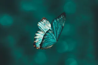Leading With Purpose – How Embodied Leadership Creates Meaningful Change