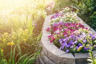 Tips for Making Flower Beds