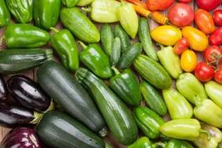 10 Tips for Starting a Veggie Garden