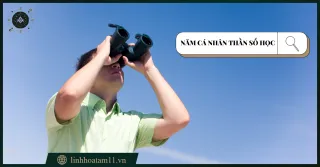 NĂM CÁ NHÂN: Cách Tính & Ý Nghĩa | Linh Hoa Tâm