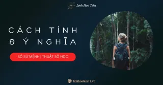 Chỉ Số Sứ Mệnh Là Gì? Cách Tính Con Số Sứ Mệnh và Ý Nghĩa | LINH HOA TÂM