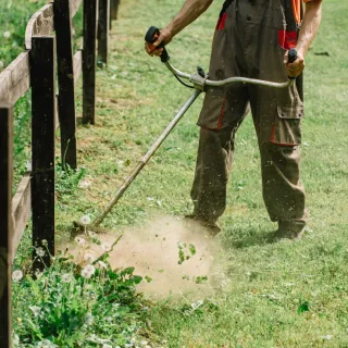 Les avantages d’un entretien régulier de votre jardin avec un paysagiste professionnel à Nice