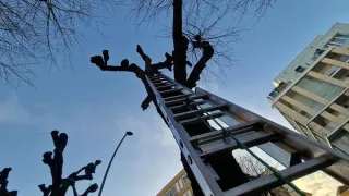 Pourquoi le débroussaillage est essentiel pour la sécurité des propriétés à Nice et ses environs