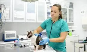 Atención importadores de productos veterinarios:  nuevo decreto.