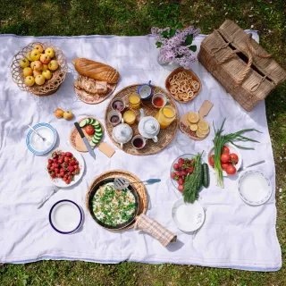Living The Healthy Life- A Balanced Approach to Lifelong Wellness