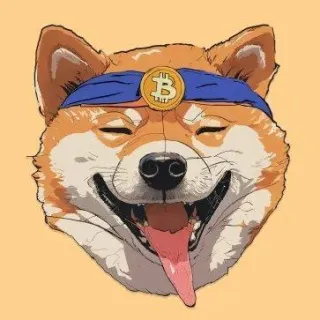 BitDoge ICO