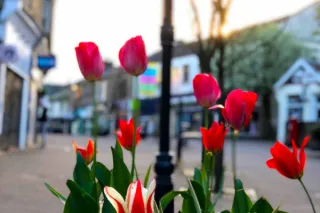 5 facts about Milngavie