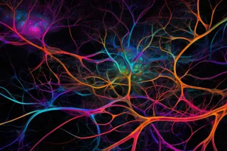 Fractal Consciousness Field Theory