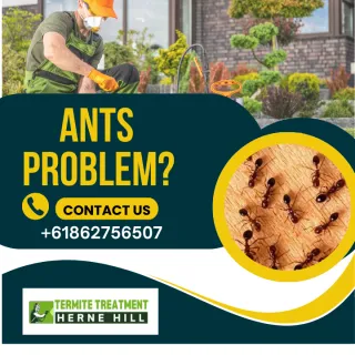 Organic Pest Control Services In  Herne Hill