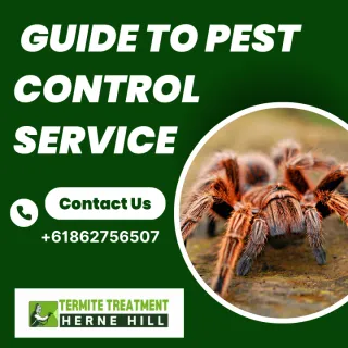 The Ultimate Guide to Pest Control Prices in Herne Hill: What You Need to Know