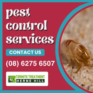 Domestic Pest Control Advice Herne Hill