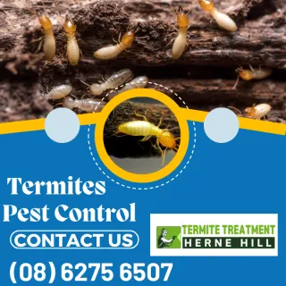 Pre-Construction Termite Treatments