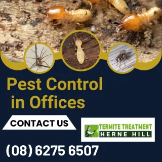 Office Pest Control Services