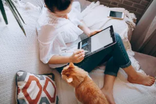 Amazon FBA as a Work From Home Job for Amazon Sellers