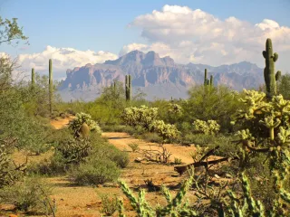 🏜️ Explore the Wonders of Usery Mountain Regional Park – Arizona’s Outdoor Playground! 