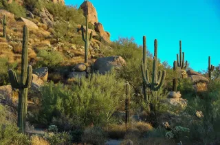 🥾 Explore Brown’s Ranch Trailhead: Hiking Adventure in the Heart of Arizona!