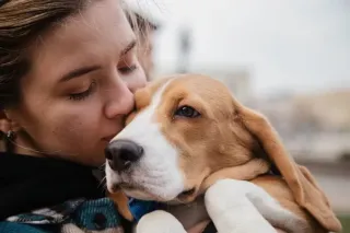 Sacred Transitions: Honoring the End-of-Life Journey with Your Animal Companion