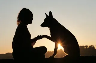 The Science Behind the Human-Animal Bond