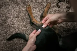 5 Simple Acupressure Techniques