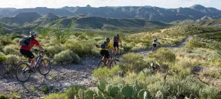 🌵Big Bend Ranch State Park: Texas' Wild Side You Didn't Know You Needed