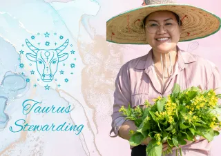 5 Ways to Access The Gift of Stewarding