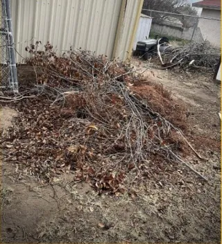 Things You Should Know When Cleaning the Yard Waste