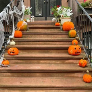 Skeletons Out of the Closet: Halloween and Dogs
