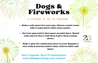 The Big Bangs: Fireworks and Dogs