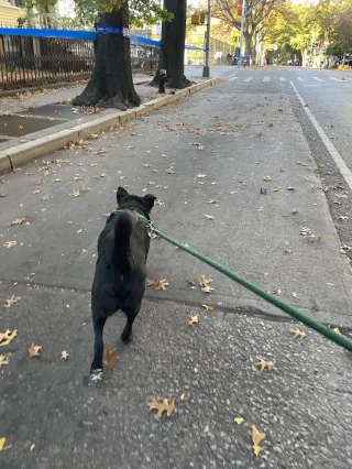The Springtime Training Regression