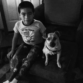 Keeping Dogs & Kids Safe Together