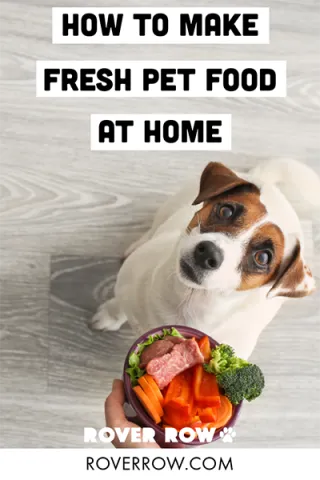 How to Make Homemade Dog Food and Save Money: Easy Recipes for Your Pet
