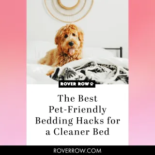 Pet Owner Laundry Hacks: Keep Bedding Stain & Odor-Free