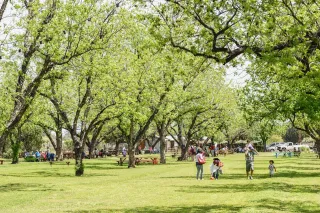 The Farm at South Mountain: Phoenix’s Oasis for Food, Fun, and Fresh Air