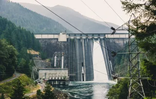 The Water War Between Endangered Species and Human Necessity