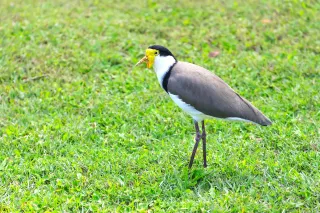 Vulnerability Takes Courage