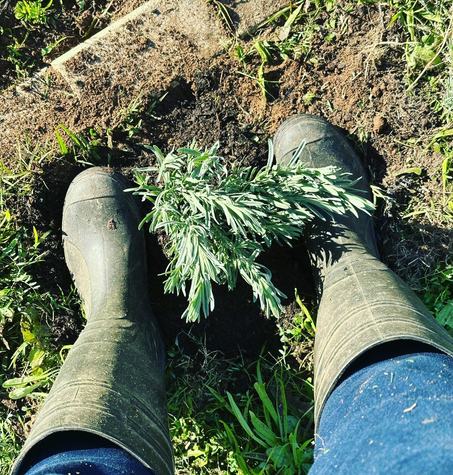 On AI and how it shapes leadership