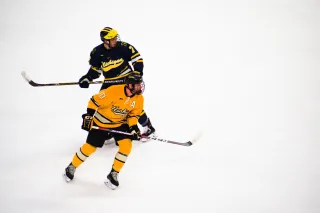 Hockey Playoffs 2023 Preparation