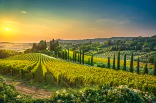 Pilgrimage to Tuscany 2026