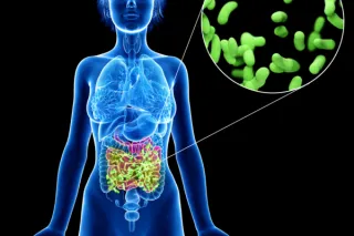 Why Gut Health Matters As We Age