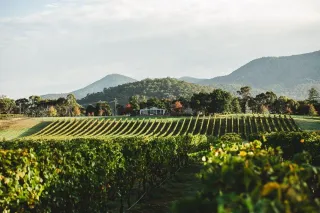 Top Free Camping Spots in Victoria – Part 7: Yarra Valley Region