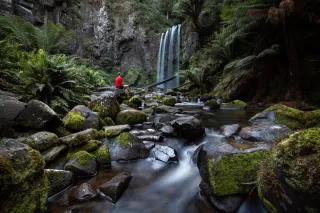 Top Free Camping Spots in Victoria – Part 8: Otway Ranges