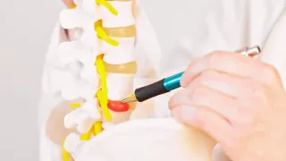 What happens if a herniated disc is left untreated?