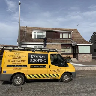 Roof Moss Removal: Preserving Your Home's Beauty and Integrity