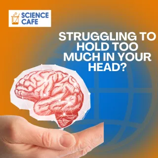 Improving memory