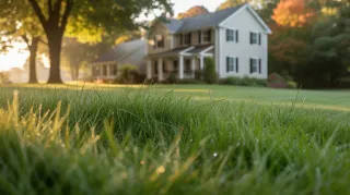 Why September is the Most Important Month for Your Altoona Lawn (And What Happens If You Skip It)
