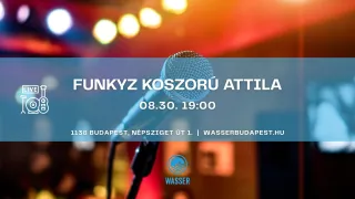 Ingyenes buli Budapesten: Nyárzáró élő koncert a Duna-parton – Funkyz a Wasserben