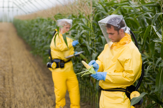 GMOs: The Science and The Controversy