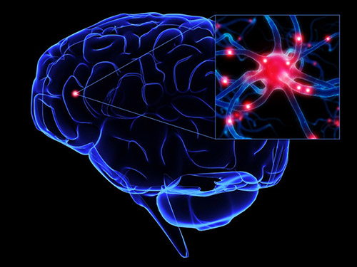 Synaptogenesis: Facilitating Plasticity