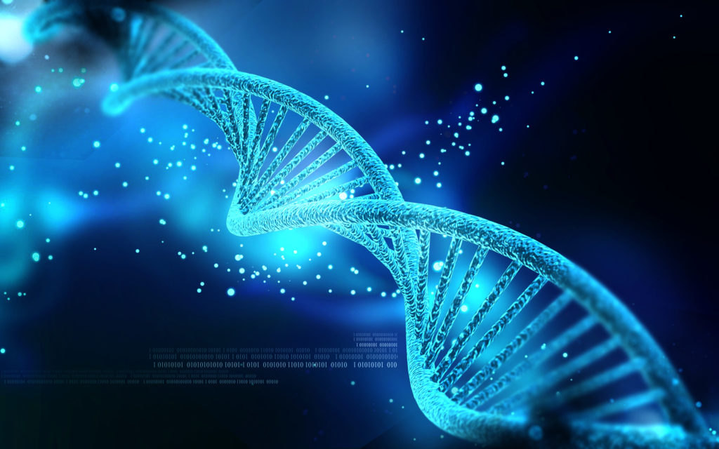 Uridine: A Key for Synaptogenesis