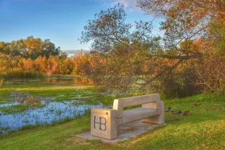 🌳 Huntington Central Park: The Chill Escape Right in the Heart of HB